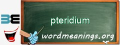 WordMeaning blackboard for pteridium